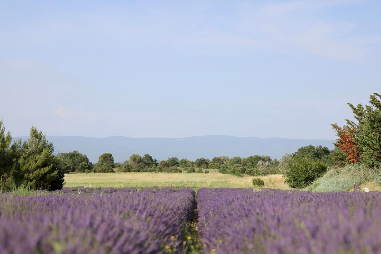 Le Mas Les Eydins Bonnieux Luaran gambar